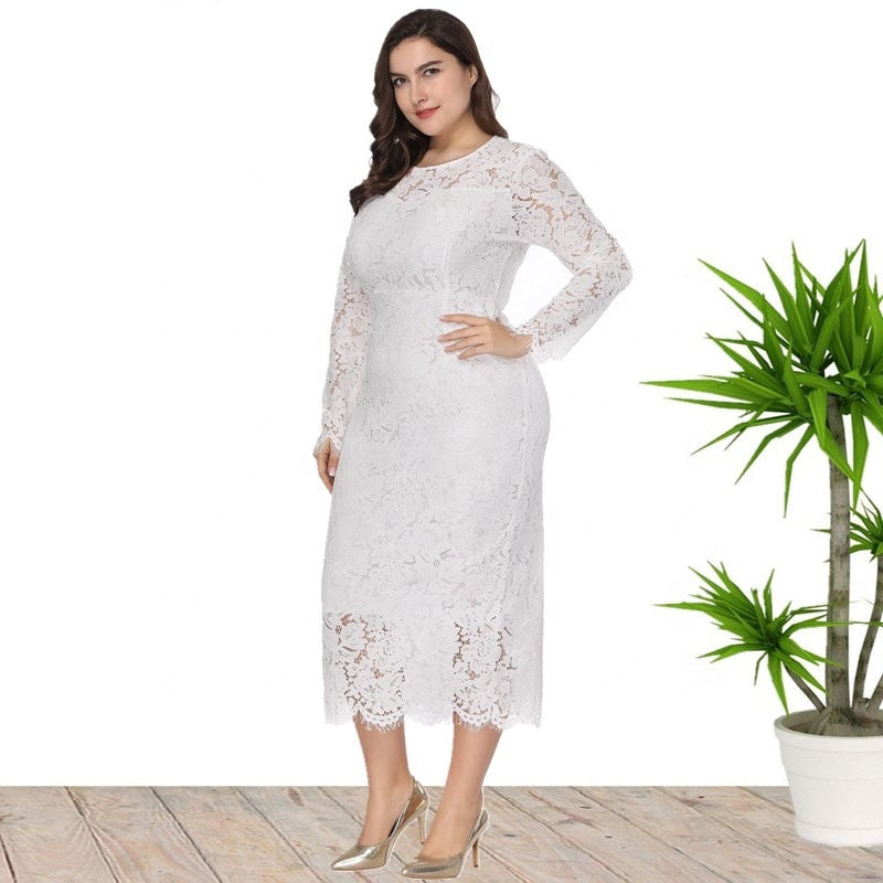 Women's Long Sleeve Lace Slim Dress Dresses